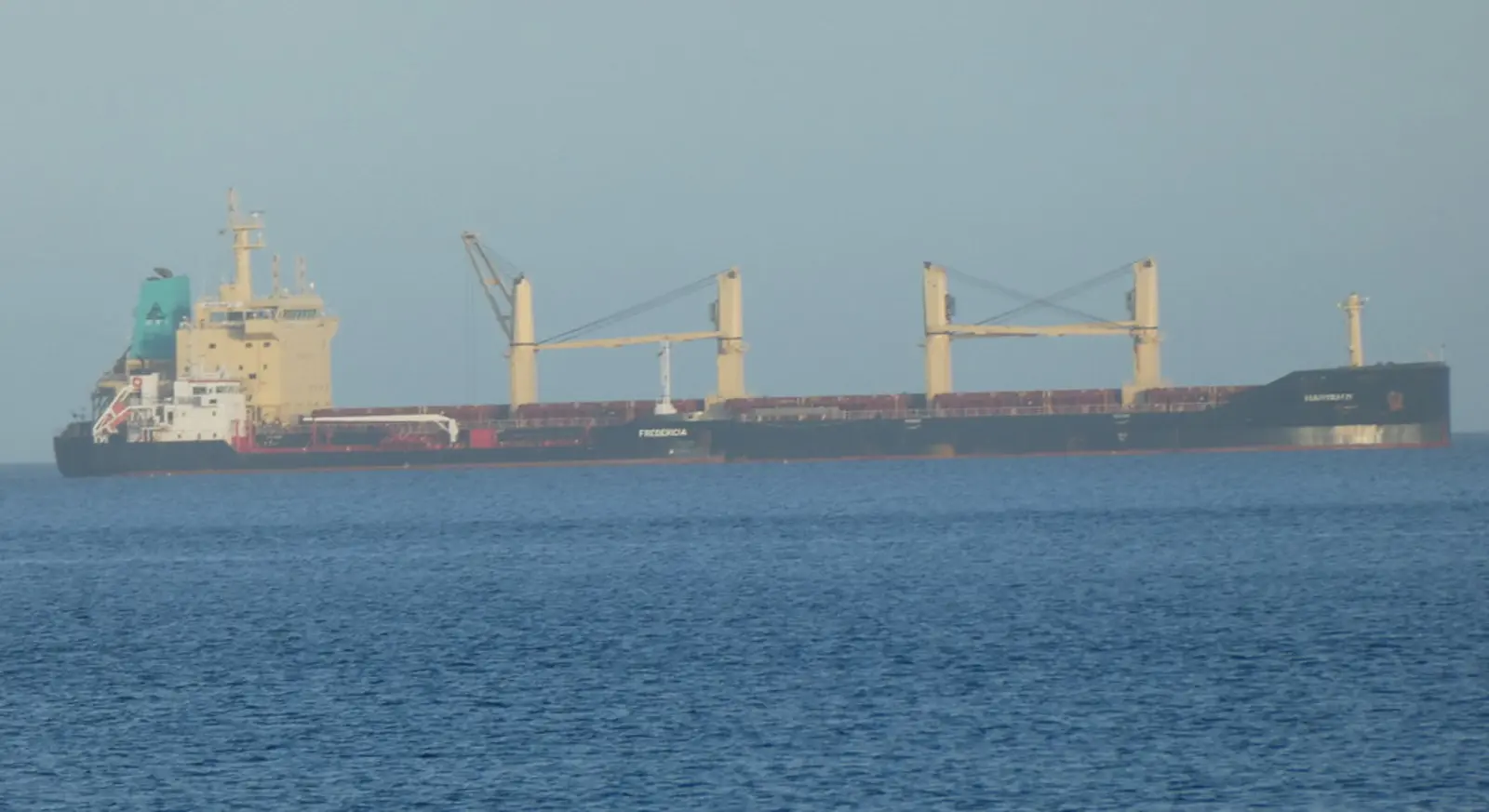 A large bulk carrier fitted with deck cranes sails across calm blue water beneath a pale, hazy sky. The photographer titled it “Ships on the Horizon.”.