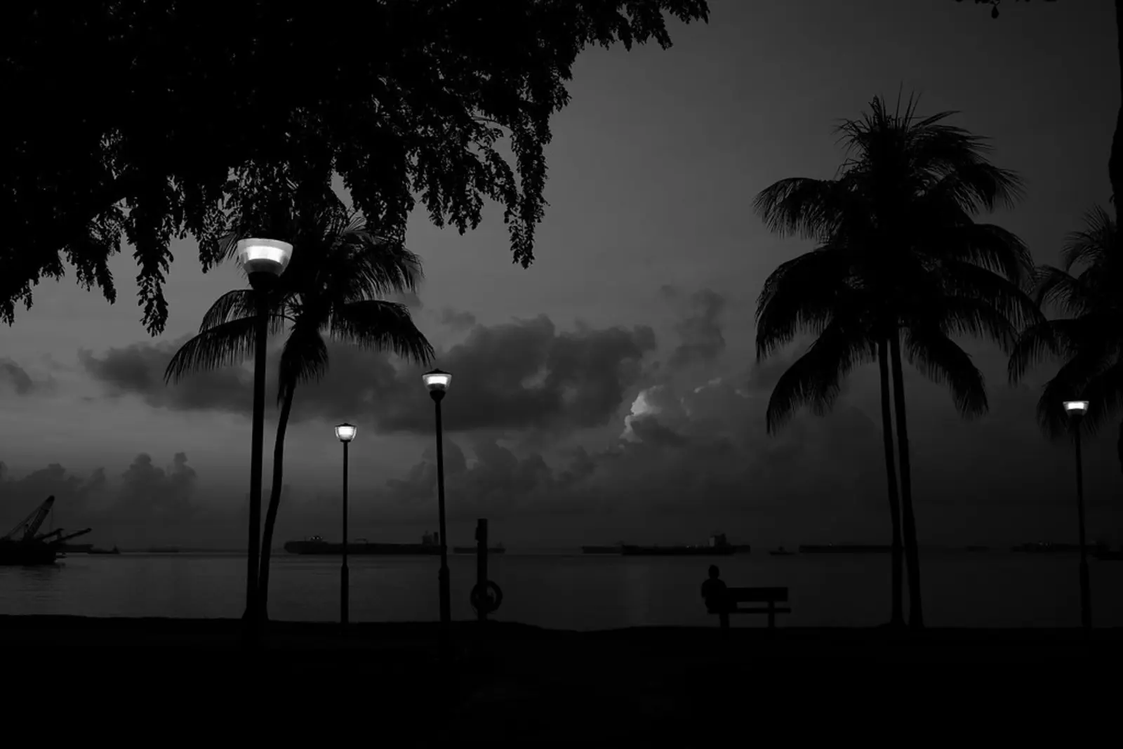 A black-and-white photograph shows silhouetted palm trees and streetlights along a shoreline at dusk, with a lone figure sitting on a bench and ships visible on the horizon. The photographer titled it “Una playa tropical. ¿Qué piensa la mujer en el banco que mira el petrolero en la distancia?”.