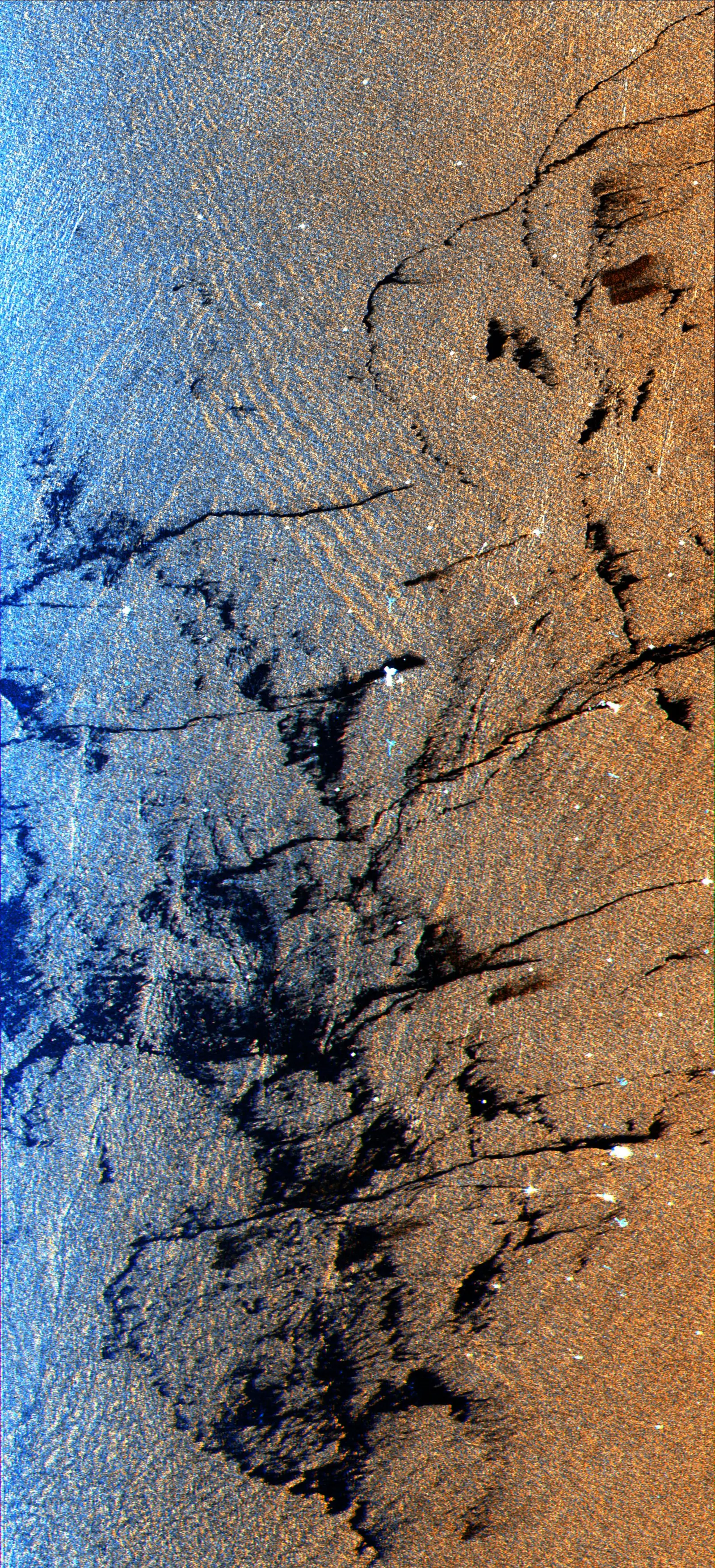 A radar image of a textured ocean surface showing dark, branching streaks and patches that resemble oil slicks. The photographer titled it “Space Radar Image of Oil Slicks”.