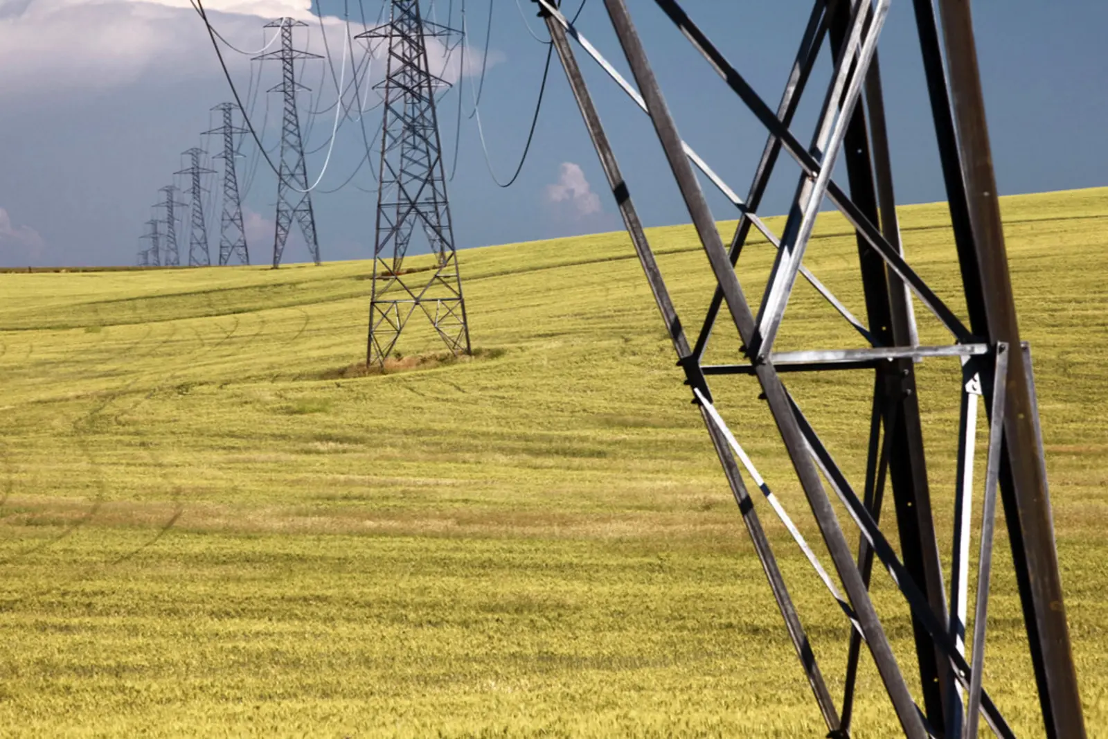 A series of metal transmission towers and power lines runs through a field of yellow grain beneath a partly cloudy sky. The photographer titled it “Powerfully Fortified Grain”.